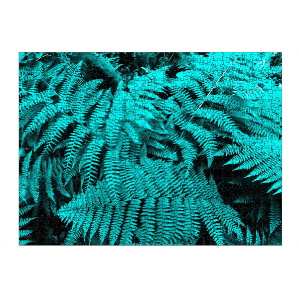 artboxONE Puzzle "Cyan Fern" artboxONE - Natur,Floral - Turquoise,Türkis,Farn,Wald,Forest,Flora,Floral,Natur,Nature,Plant,Pflanze