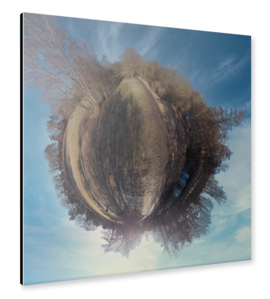 Alu-Dibond "Hamburg-Tonndorf Park Nordmark" 30x30 cm artboxONE