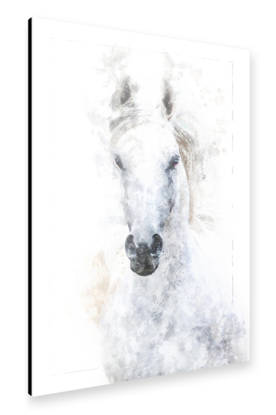 Alu-Dibond "Weisses Pferd" 30x20 cm artboxONE