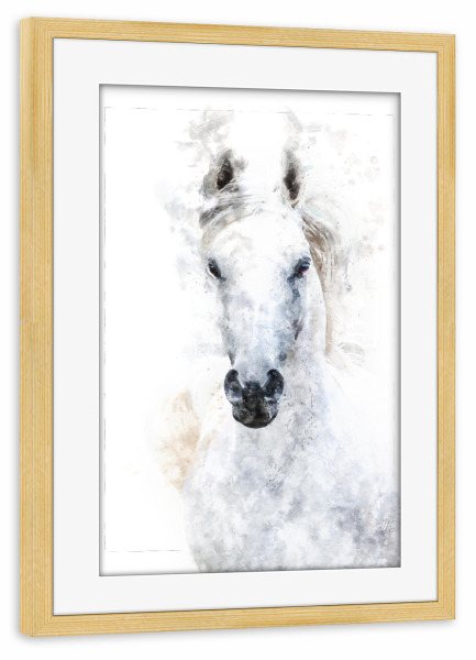 Poster mit Rahmen kiefer "Weisses Pferd" artboxONE - Natur,Tiere