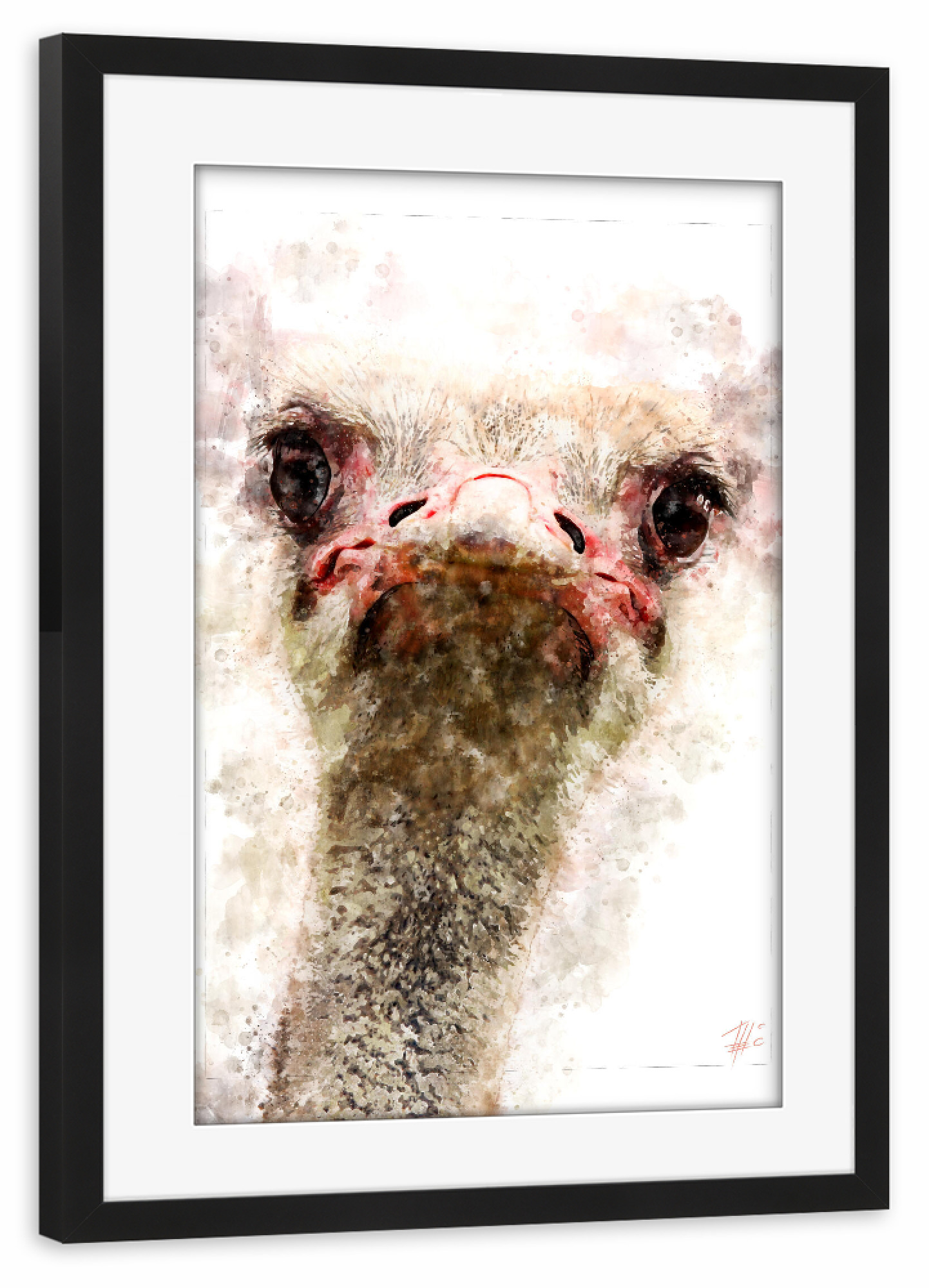 Poster mit Rahmen schwarz "Vogel Strauß Porträt" artboxONE - Natur,Tiere,Reise / Afrika