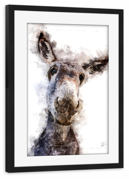 Poster mit Rahmen schwarz "Grauer Esel" artboxONE - Natur,Tiere