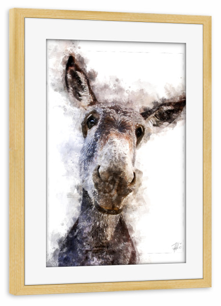 Poster mit Rahmen kiefer "Grauer Esel" artboxONE - Natur,Tiere