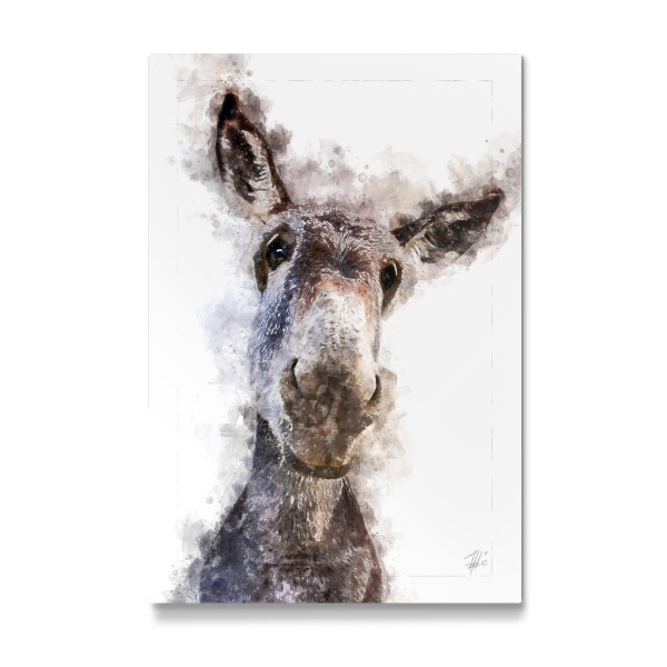 Galerie-Print "Grauer Esel" 30x20 cm artboxONE