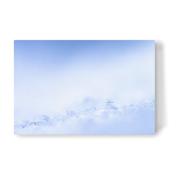 Leinwandbild "Frozen Star" artboxONE - Natur