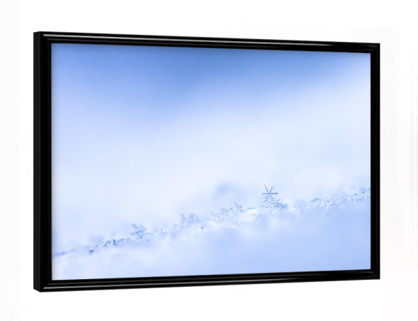Poster mit schwarzem Rahmen "Frozen Star" artboxONE - Natur