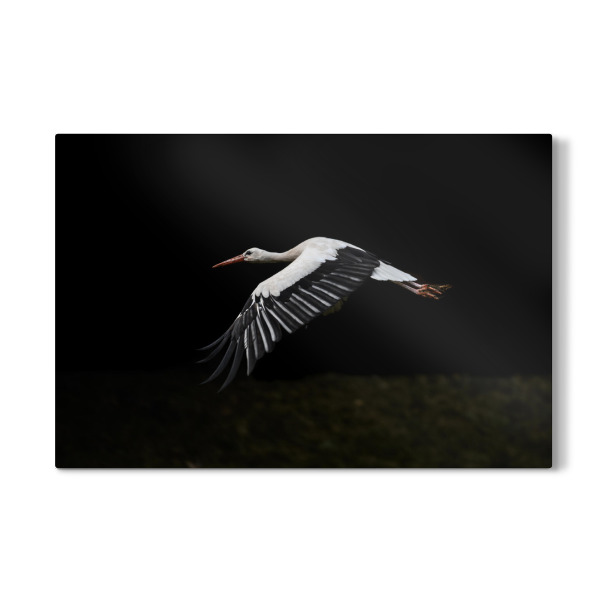 Galerie-Print "Morning Takeoff" 30x20 cm artboxONE