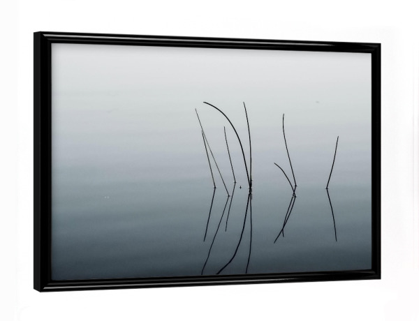 Poster mit schwarzem Rahmen "Schilfhalme im Wasser" artboxONE - Natur