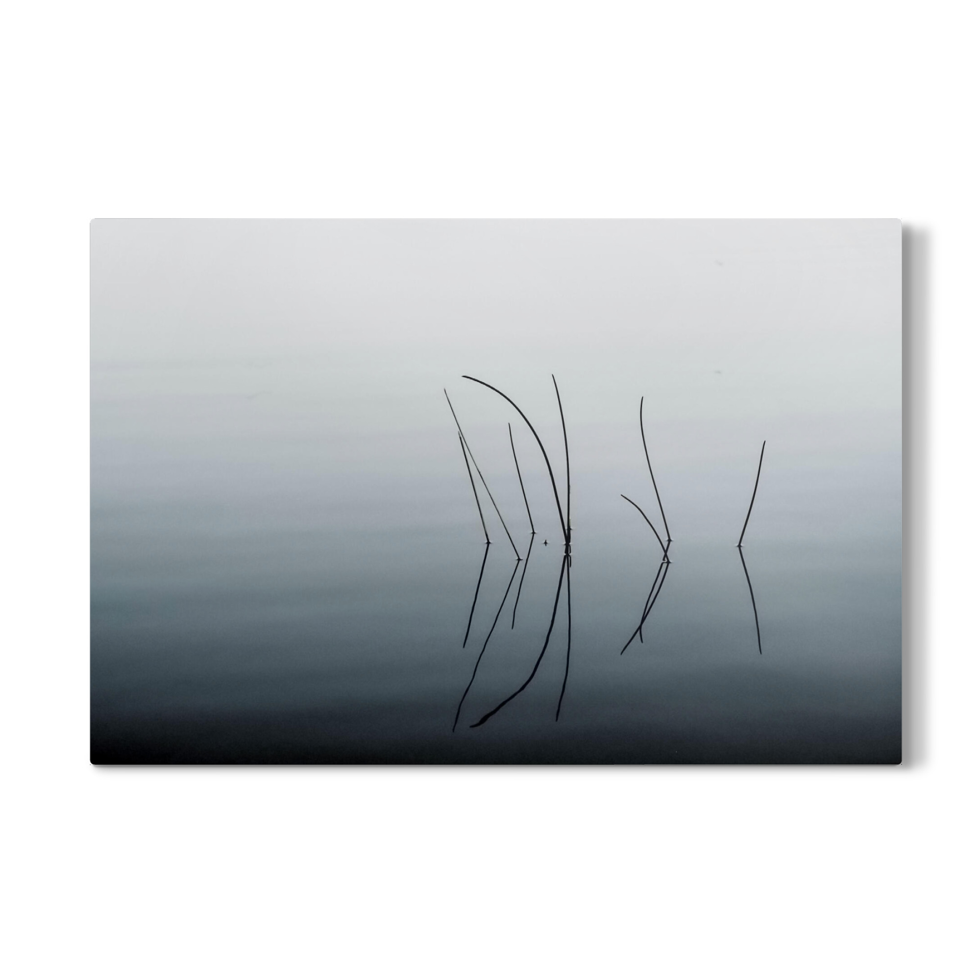 Galerie-Print "Schilfhalme im Wasser" 75x50 cm artboxONE