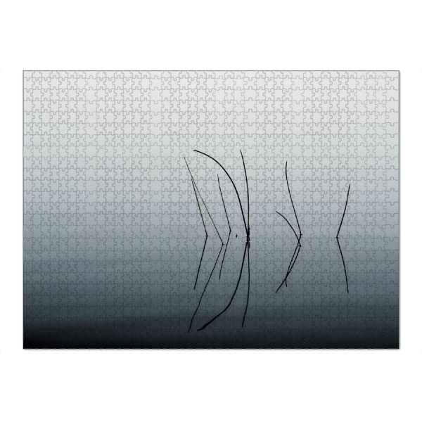 Puzzle Ravensburger "Schilfhalme im Wasser" artboxONE - Natur