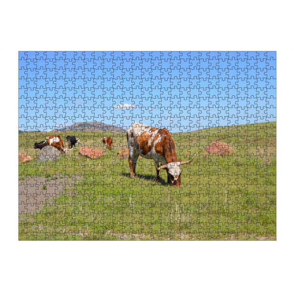 artboxONE Puzzle "Texas Longhorn Cattle" artboxONE - Reise,Tiere,Reise / Länder