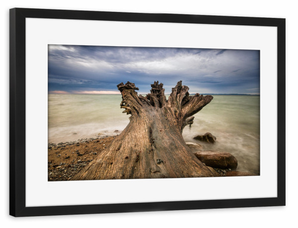 Poster mit Rahmen schwarz "Baumstamm am Meer" artboxONE - Natur,Reise,Reise / Strand und Meer