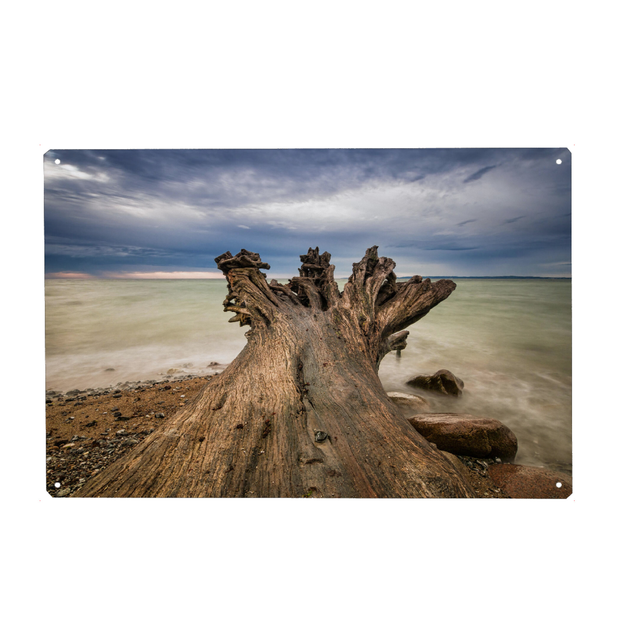 Holzbild "Baumstamm am Meer" artboxONE - Natur,Reise,Reise / Strand und Meer