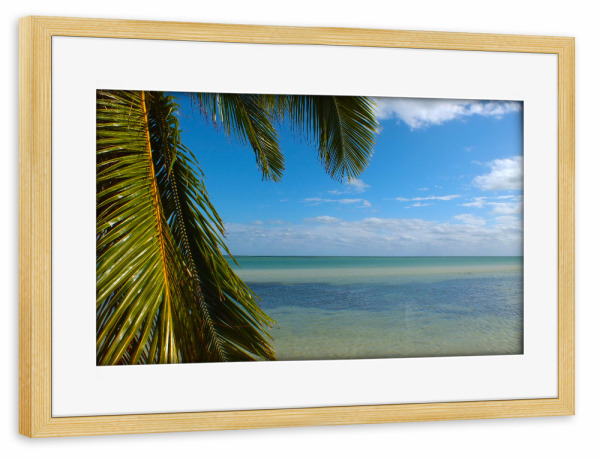Poster mit Rahmen kiefer "Topical Beach with Palm Tree" artboxONE - Natur,Reise,Reise / Strand und Meer,Reise / Länder