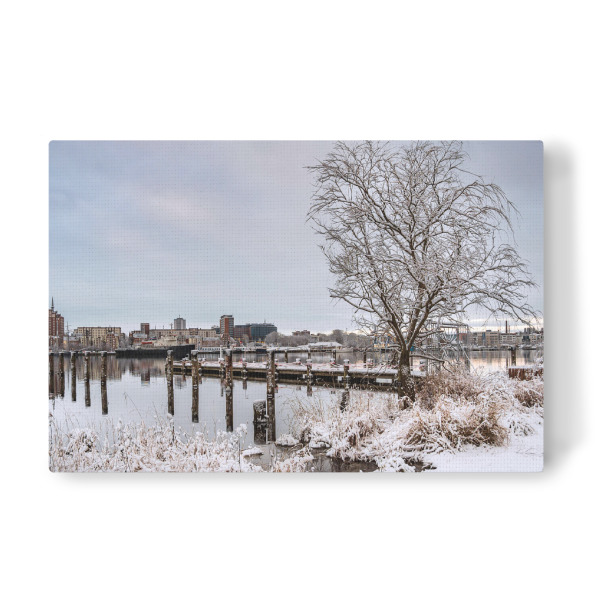 Leinwandbild "Baum an der Warnow" artboxONE - Natur,Reise,Architektur,Städte / Weitere