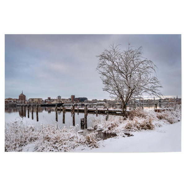 Poster 30x20 cm "Baum an der Warnow" artboxONE - Natur,Reise,Architektur,Städte / Weitere