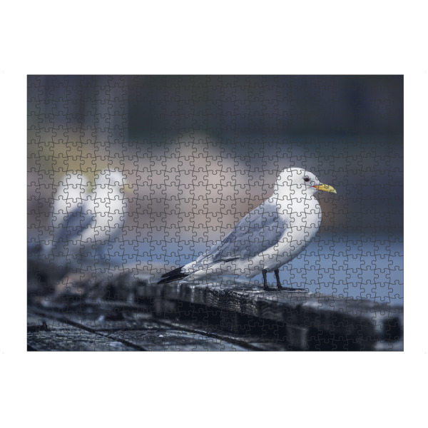 artboxONE Puzzle "Dreizehenmöwe" artboxONE - Natur,Tiere - Möwe,Vogel,Vögel,Kai,Küste,Lofoten,Norwegen,Skandinavien,Norway,Tier,Animal,Bird,Gull