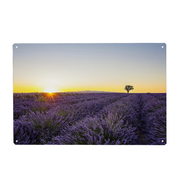 Holzbild "South of France" artboxONE - Natur,Reise,Floral,Reise / Länder