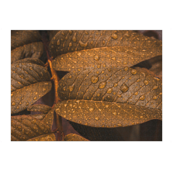 Puzzle Ravensburger "Golden Drops" artboxONE - Natur - Foliage,Leaves,Rain,Close,Details,Blätter,Natur,Nature,Closeup,Nahaufnahme,Regen,Tropfen,Drops