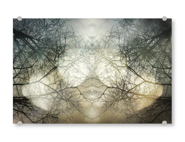 Acrylglasbild "Himmelslicht" artboxONE - Natur - Bäume,Natur,Trees,äste,Wald,Forest,Nature,Himmel,Sky