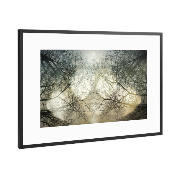 Poster mit Rahmen Schwarz (Metallic) "Himmelslicht" artboxONE - Natur - Bäume,Natur,Trees,äste,Wald,Forest,Nature,Himmel,Sky