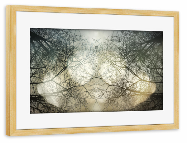 Poster mit Rahmen kiefer "Himmelslicht" artboxONE - Natur - Bäume,Natur,Trees,äste,Wald,Forest,Nature,Himmel,Sky