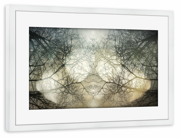 Poster mit Rahmen weiß "Himmelslicht" artboxONE - Natur - Bäume,Natur,Trees,äste,Wald,Forest,Nature,Himmel,Sky