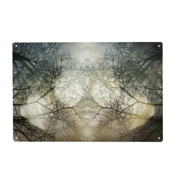 Metall Poster "Himmelslicht" artboxONE - Natur - Bäume,Natur,Trees,äste,Wald,Forest,Nature,Himmel,Sky - Blechschild