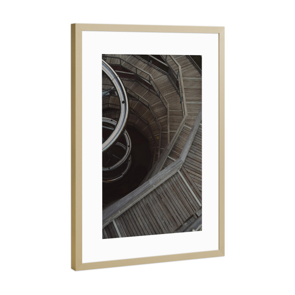 Poster mit Rahmen Gold "Baumwipfelpfad im Schwarzwald" artboxONE - Reise,Architektur