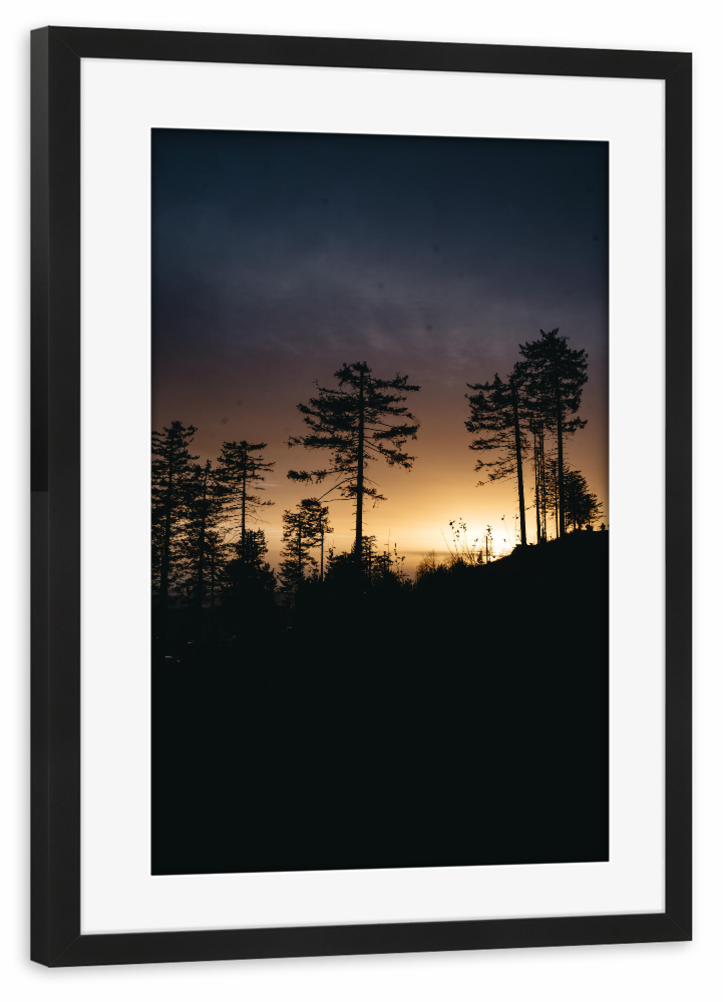 Poster mit Rahmen schwarz "Wald im Goldlicht" artboxONE - Natur,Reise
