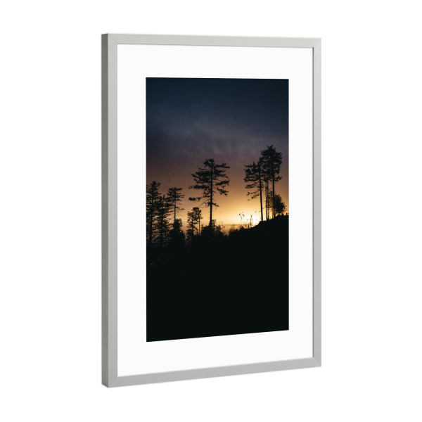Poster mit Rahmen Silber "Wald im Goldlicht" artboxONE - Natur,Reise