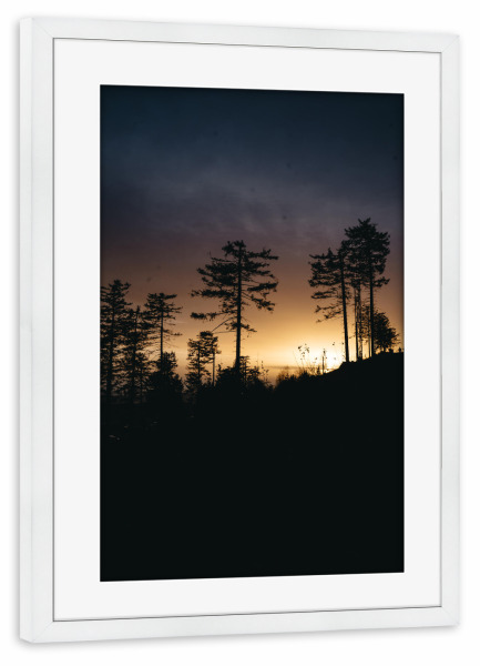 Poster mit Rahmen weiß "Wald im Goldlicht" artboxONE - Natur,Reise