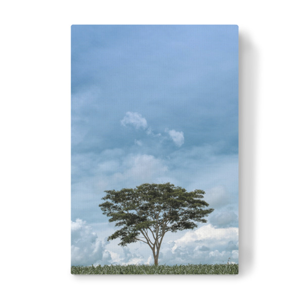 Leinwandbild "Tree in Cornfield" artboxONE - Natur - Nature,Tree,Field,Cornfield,Landscape,Sky,Blue,Clouds,Natur,Landscaft,Baum