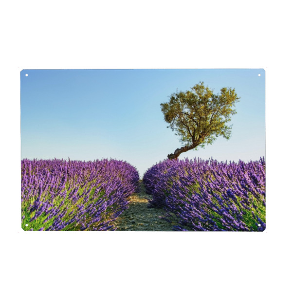 Metall Poster "Provence" artboxONE - Natur,Reise,Floral,Reise / Länder