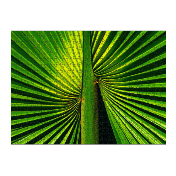 artboxONE Puzzle "Deep Green Palm Leaf" artboxONE - Natur,Floral