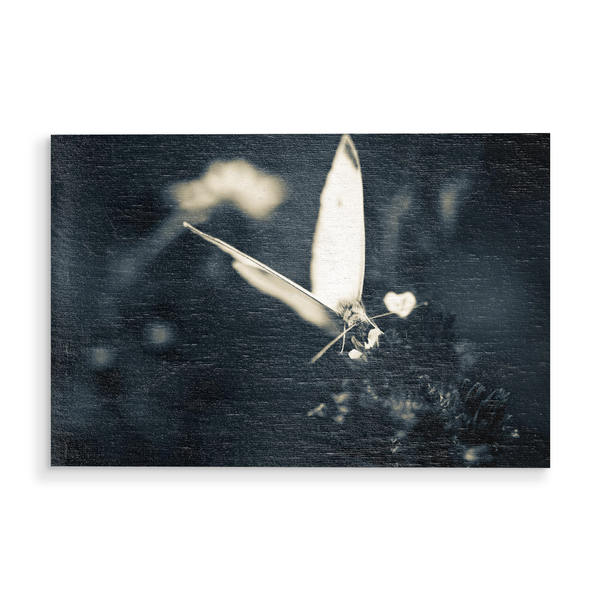 Holzbild "Angel In The Dark" artboxONE - Natur,Floral,Tiere