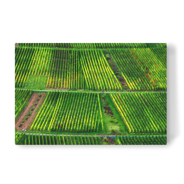 Leinwandbild "Muster im Weinberg" artboxONE - Natur,Reise,Abstrakt
