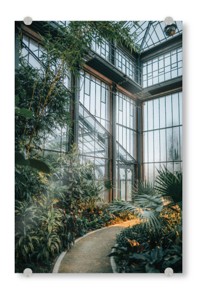 Acrylglasbild "Blick aus dem botanischen Garten" artboxONE - Natur,Architektur