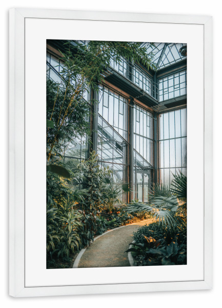 Poster mit Rahmen weiß "Blick aus dem botanischen Garten" artboxONE - Natur,Architektur
