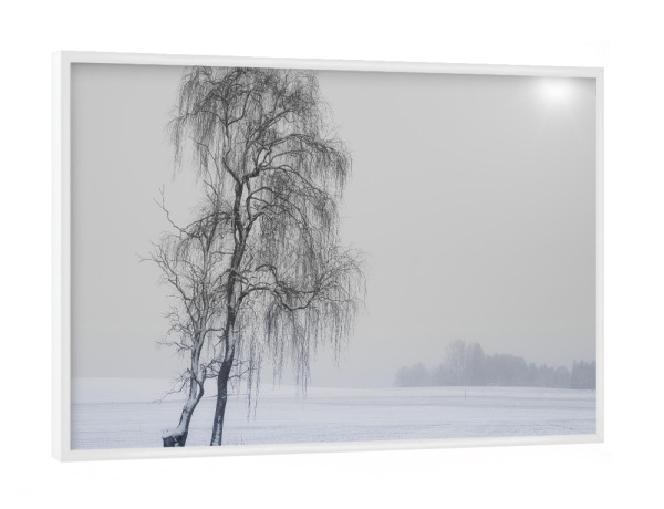 Poster mit weißem Rahmen "Winterwonderland" artboxONE - Natur