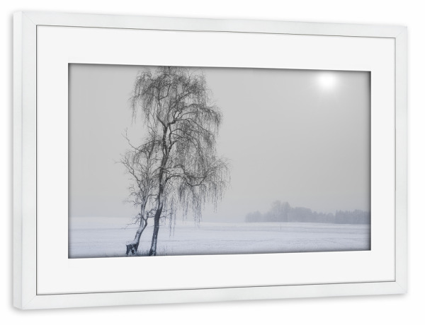 Poster mit Rahmen weiß "Winterwonderland" artboxONE - Natur