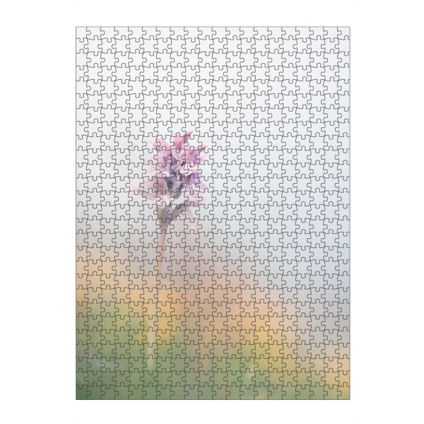 artboxONE Puzzle "Knabenkraut" artboxONE - Natur,Floral - Orchidee,Pflanze,Blüten,Blühend,Blüte,Plant,Floral,Natur,Nature - Bild orchidee
