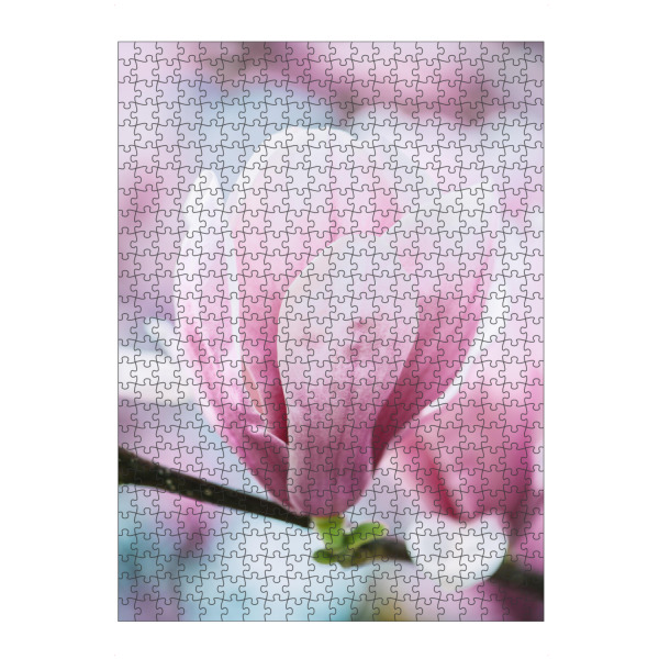 Puzzle Ravensburger "Blooming magnolia bokeh" artboxONE - Natur,Floral