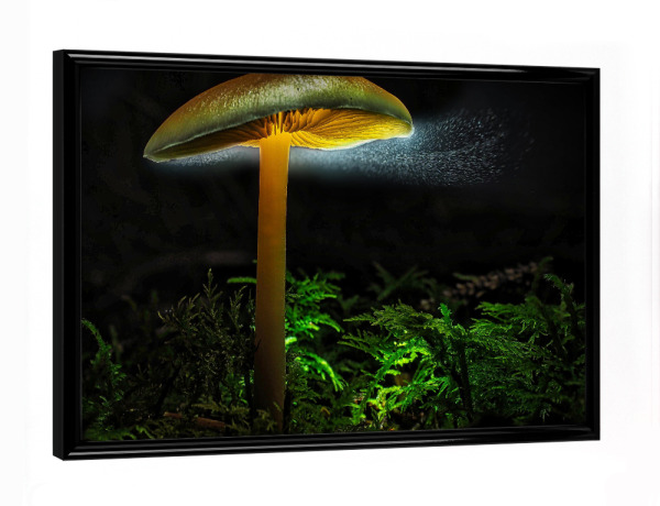 Poster mit schwarzem Rahmen "Pilzsporen" artboxONE - Natur,Essen & Trinken,Essen & Trinken / Obst & Gemüse