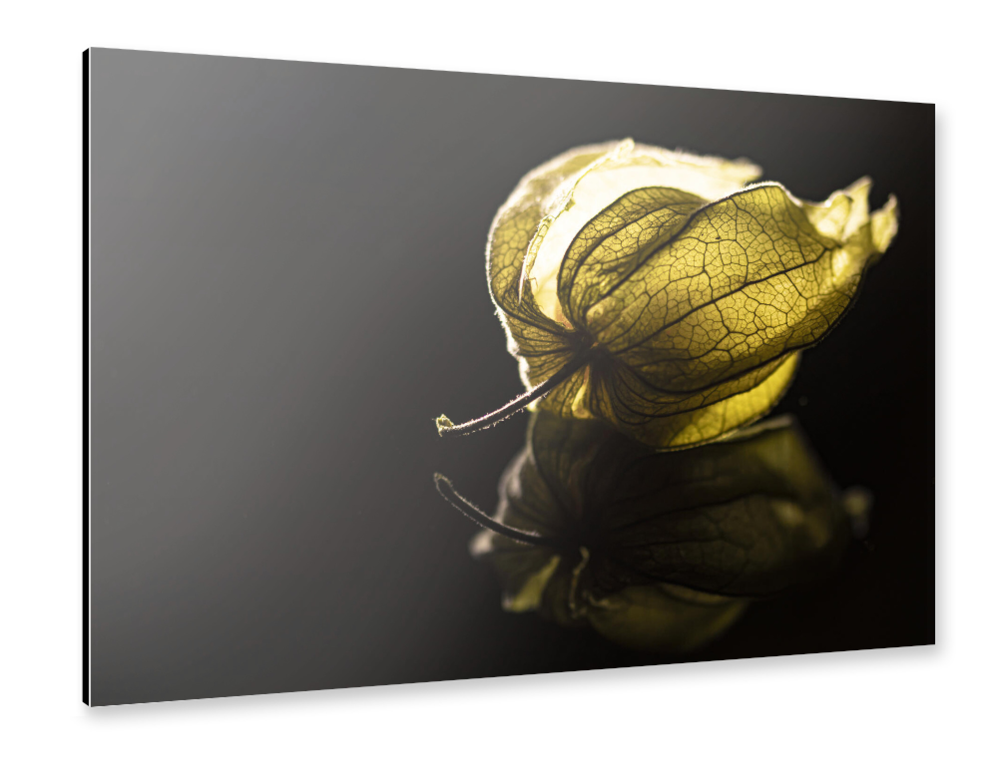 Alu-Dibond "A Glow From The Heart" 30x20 cm artboxONE