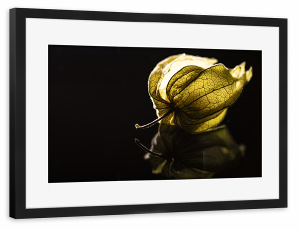 Poster mit Rahmen schwarz "A Glow From The Heart" artboxONE - Natur,Floral,Essen & Trinken / Obst & Gemüse