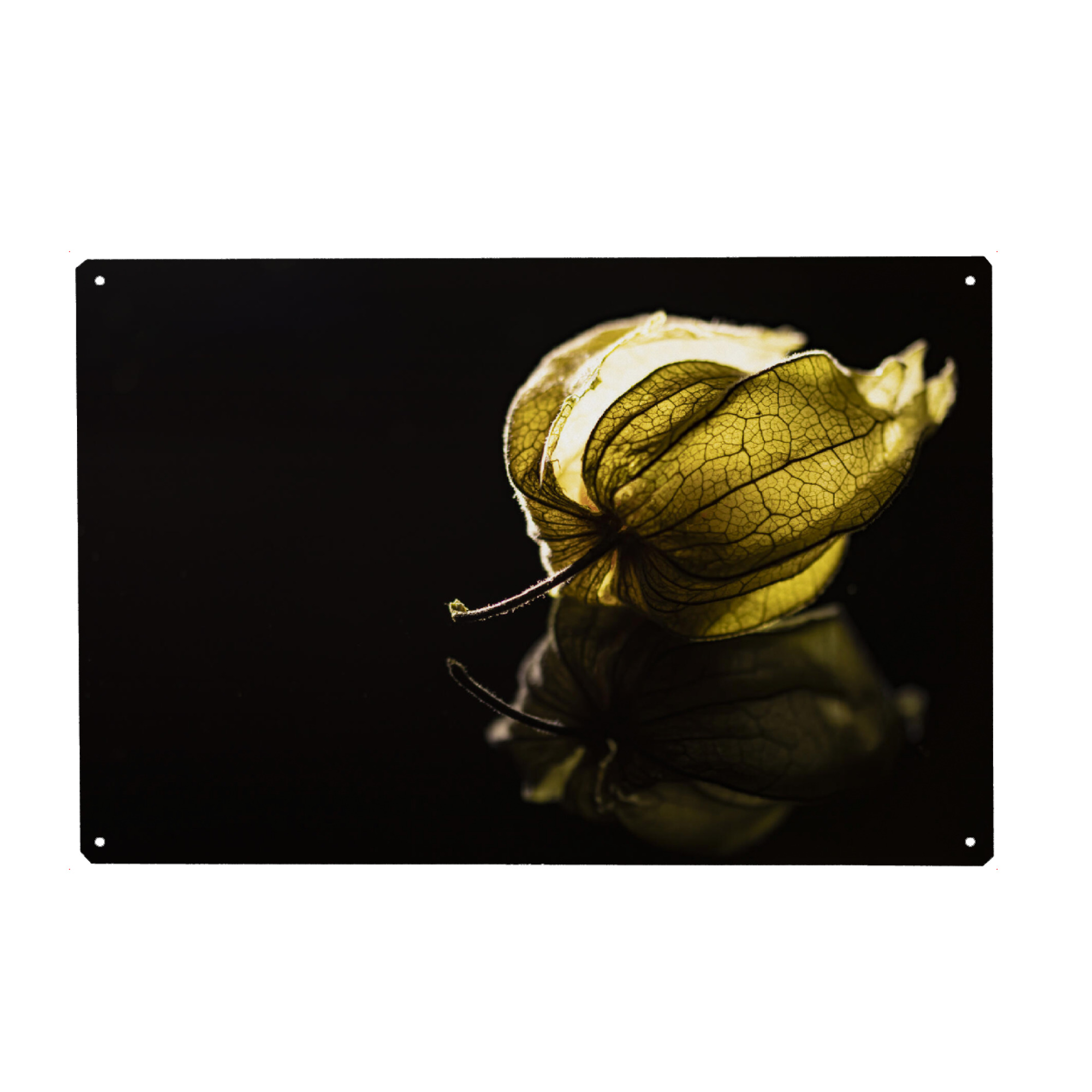 Holzbild "A Glow From The Heart" artboxONE - Natur,Floral,Essen & Trinken / Obst & Gemüse
