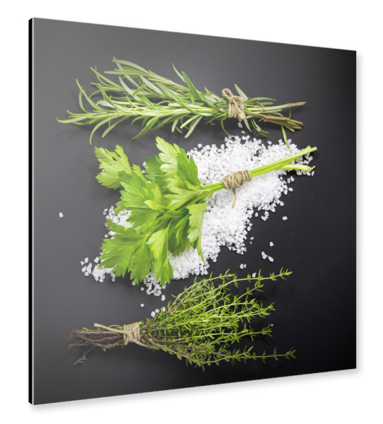 Alu-Dibond "Variation von Kräutern" 30x30 cm artboxONE