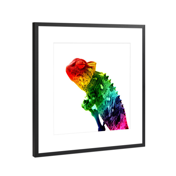 Poster mit Rahmen Schwarz (Metallic) "Chameleon Rainbow" artboxONE - Tiere,Abstrakt