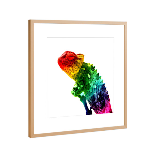 Poster mit Rahmen Kupfer "Chameleon Rainbow" artboxONE - Tiere,Abstrakt
